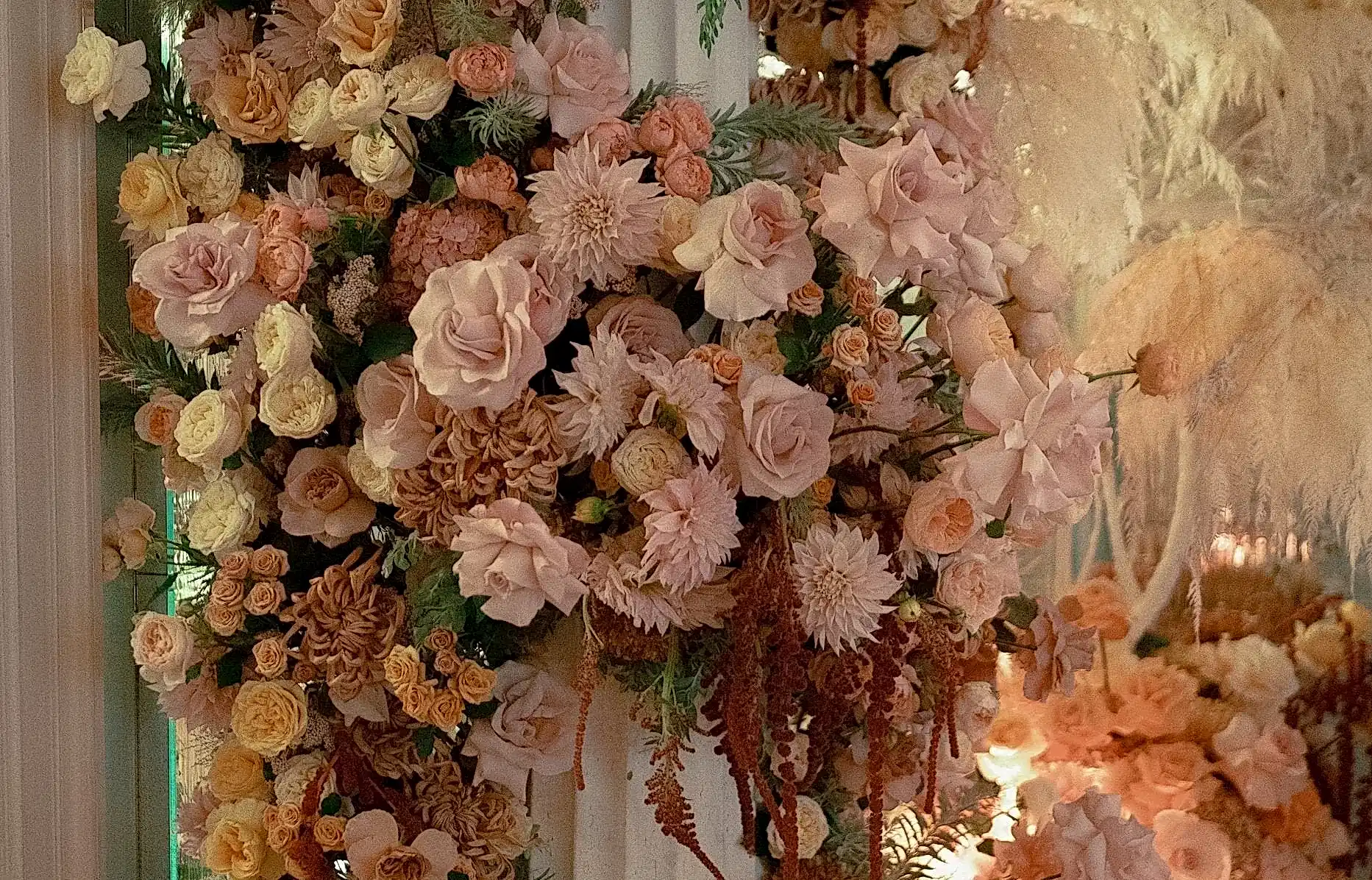 The language of Chrysanthemums