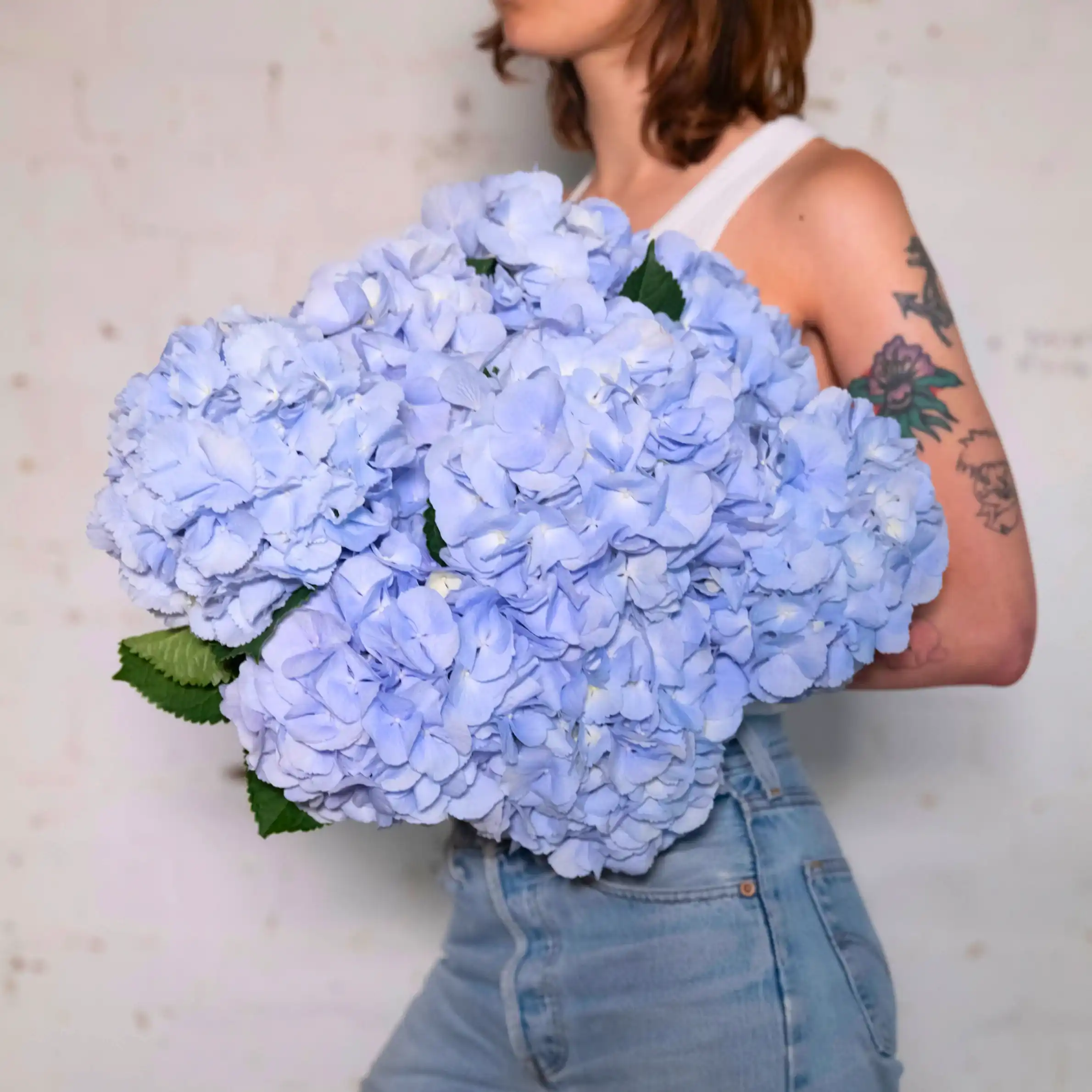 Soft Blue Hydrangeas - Single Variety Bouquet - Wild at Heart - Wild at Heart