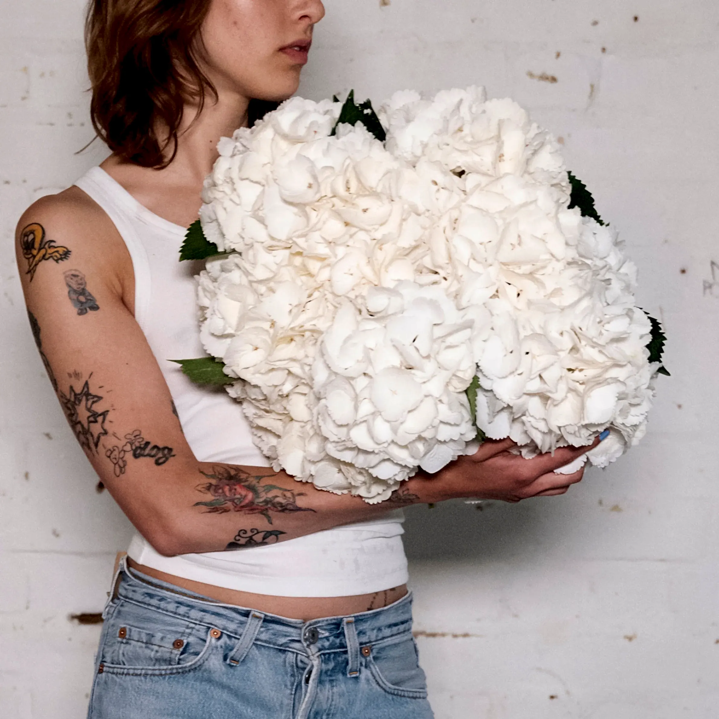 White Hydrangeas - Single Variety Bouquet - Wild at Heart - Wild at Heart