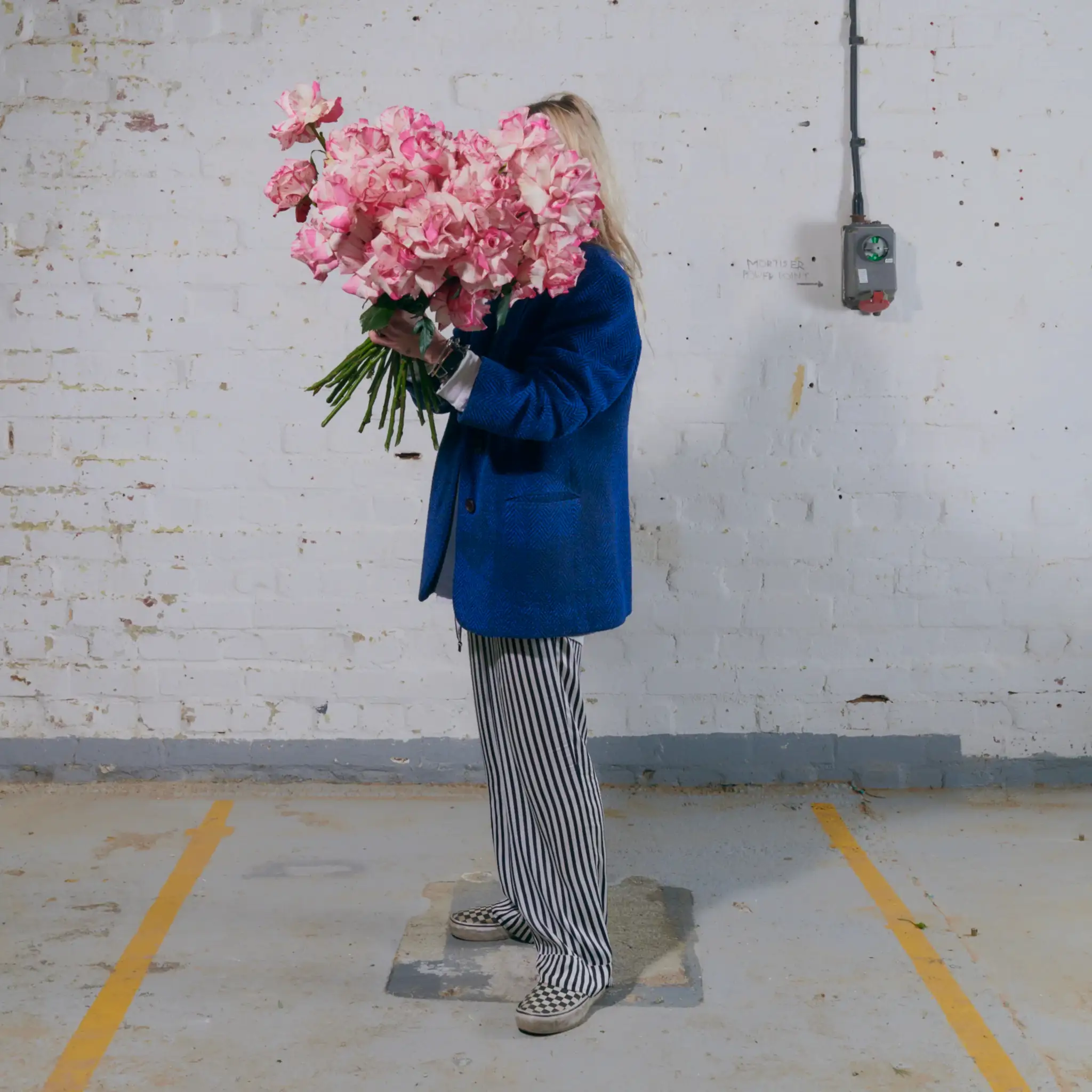Magic Times Roses - Single Variety Bouquet - Wild at Heart - Wild at Heart