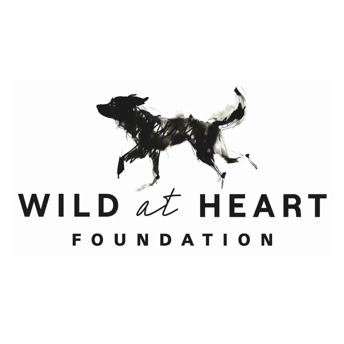Donate to Wild at Heart Foundation